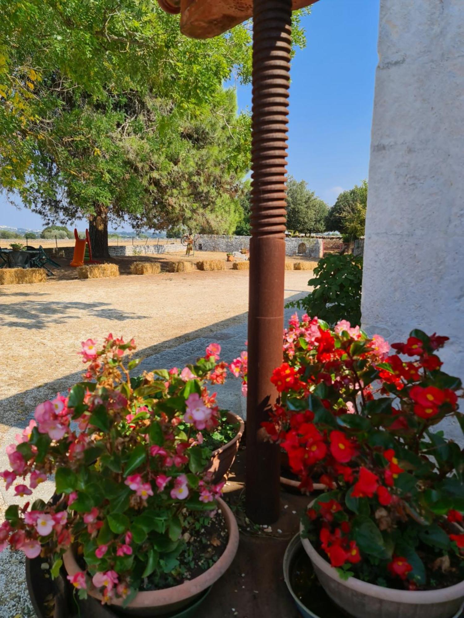 Masseria Gianca Cisternino Eksteriør bilde