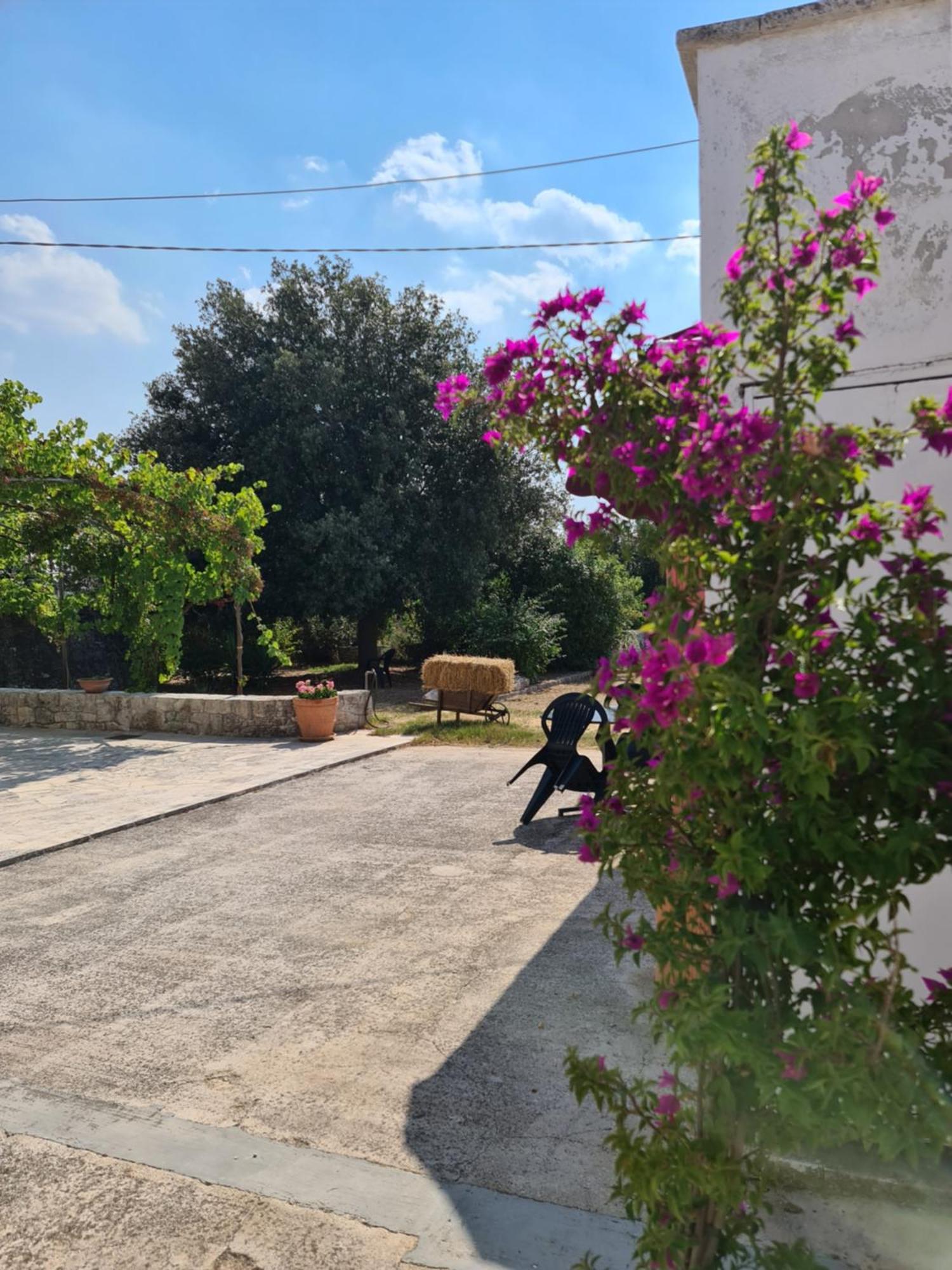 Masseria Gianca Cisternino Eksteriør bilde